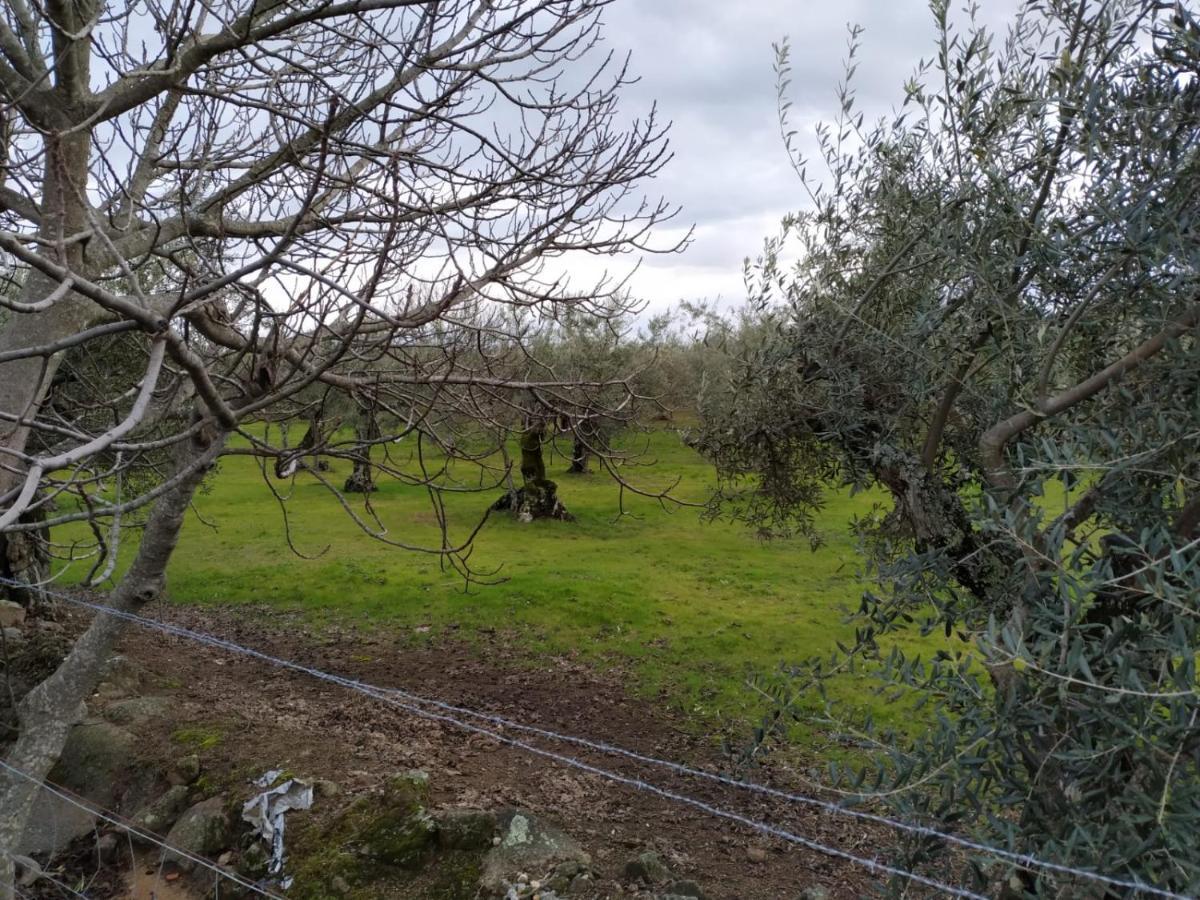 Casa Rural La Picota Valverde de la Vera Bagian luar foto