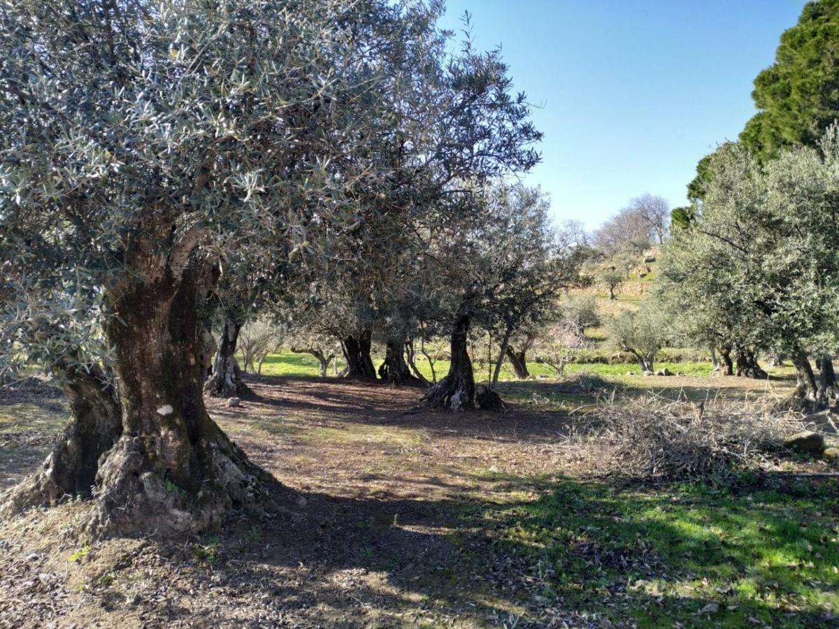 Casa Rural La Picota Valverde de la Vera Bagian luar foto