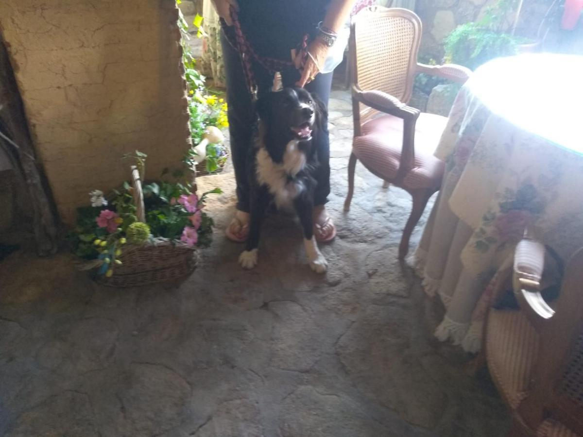 Casa Rural La Picota Valverde de la Vera Bagian luar foto